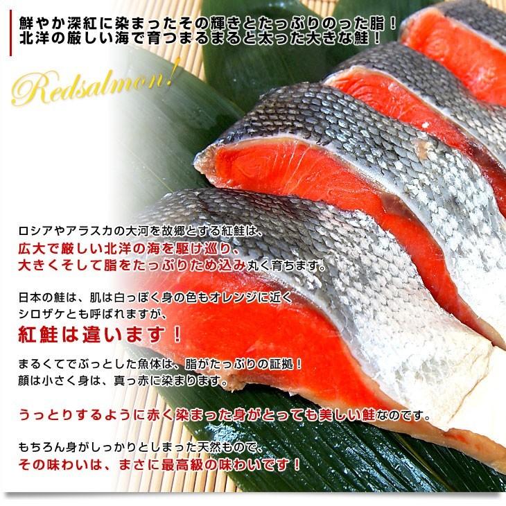 北海道加工　天然紅鮭　＜中辛＞　半身　姿切り身　約800g　送料無料　ロシア産 鮭 サケ 冬ギフト 御歳暮 お歳暮