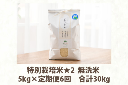 《定期便6回》特別栽培米 コシヒカリ 5kg × 6回 （計30kg） 無洗米 低農薬   福井県 あわら市 ブランド米 白米 お米 コメ 新米