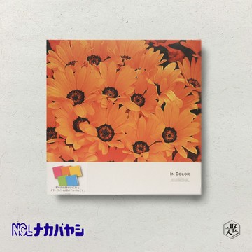 【Nakabayashi】NCL 手繪相本-橘花 L-DB211-OR(原廠正貨)