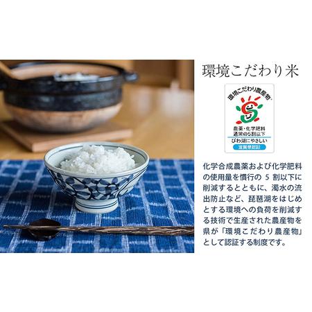 ふるさと納税 令和5年産新米　よしだのよいお米 近江米みずかがみ5kg×2 滋賀県豊郷町