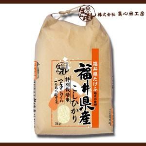 お米 5kg 福井県武生産コシヒカリ 令和4年産 新米 減農薬特別栽培米