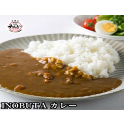 ふるさと納税 美浜町 F1 イノブタ カレー4個