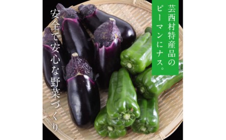 野菜とお米の詰合せ