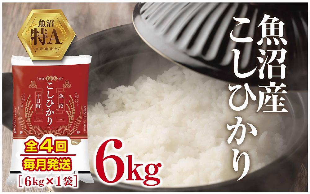 魚沼産 こしひかり 6kg 米 コシヒカリ お米 コメ 新潟 魚沼 魚沼産 白米 送料無料 新潟県産 精米 産直 産地直送 契約農家 お取り寄せ 壱成 新潟県 十日町市 DE303