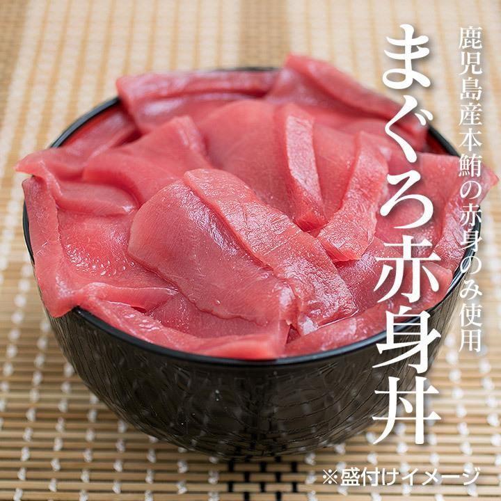 黒まぐろ食べ比べセット（クロマグロ丼・まぐろ大トロ丼・まぐろ中トロ丼・まぐろ赤身丼）本鮪 クロマグロ 本まぐろ