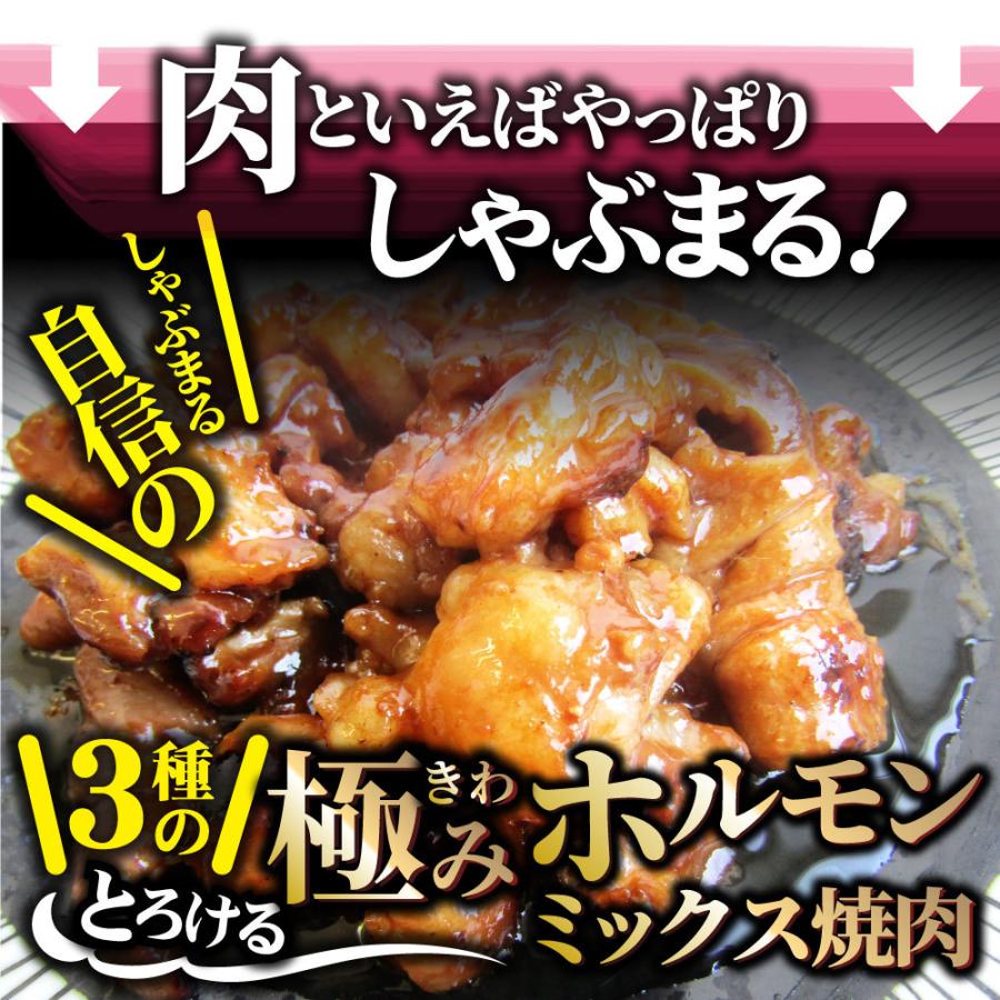 三種 ホルモン ミックス 焼肉 1kg（250ｇ×4パック）秘伝 タレ漬け バーベキュー BBQ 肉 焼くだけ 冷凍キャンプ キャンプ飯