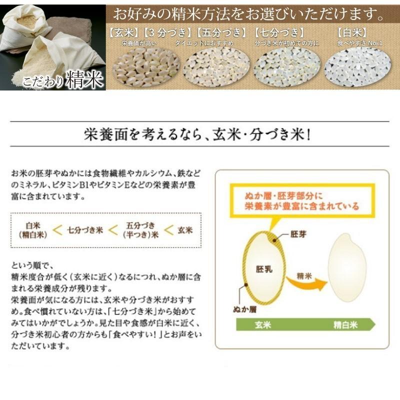 令和5年産 滋賀県産コシヒカリ10Kg玄米  お好きな分つきに 健康応援 送料無料 一部地域を除く