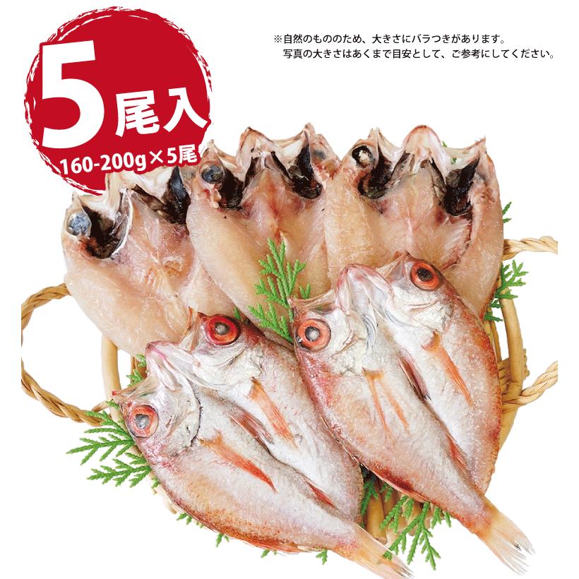のどぐろ 魚 干物  160-200g×5枚 セット ノドグロ 干物セット 無添加 一夜干し魚 ((冷凍)) プレゼント ギフト