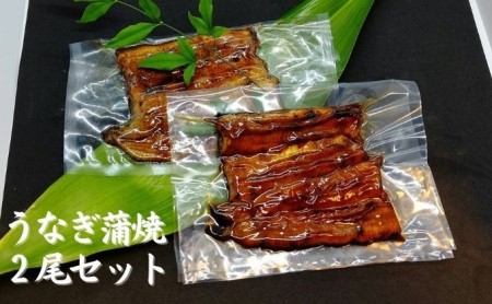うなぎ蒲焼セット2尾（活魚1本200g×2）