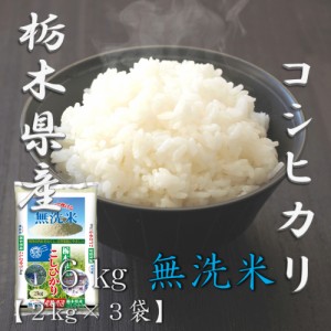 米 お米 令和5年産 無洗米 栃木県 コシヒカリ 2kg×3袋 合計 6kg