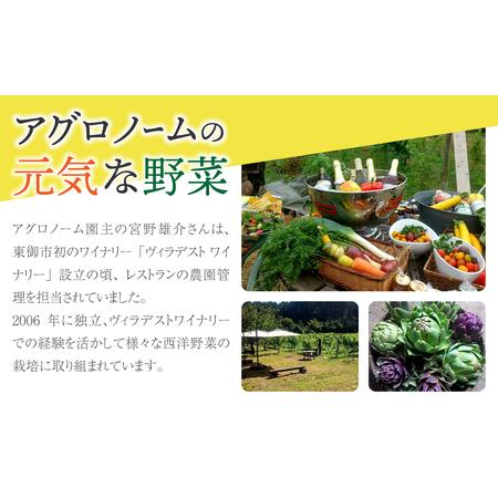 ふるさと納税 お一人様向け、お試し季節のお野菜セット 長野県東御市