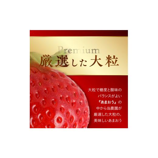 ふるさと納税 福岡県 久留米市 完熟あまおうプレミアムギフト