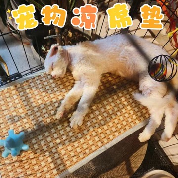 💕在臺出貨🔥寵物藤席墊貓籠專屬平臺墊夏天狗狗貓咪消暑墊貓咪涼蓆墊貓咪席子
