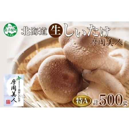 ふるさと納税 1803. しいたけ 特A 秀品 2パック 計500g 摩周美人 シイタケ 椎茸 生しいたけ きのこ キノコ 菌床栽培 大粒 肉厚 BBQ バーベキュ.. 北海道弟子屈町