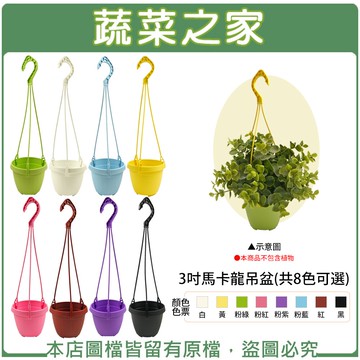 【蔬菜之家005-D70】3吋馬卡龍吊盆-(吊盆加吊勾/組)(共8色可選)