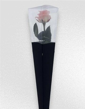 繽粉永生玫瑰  永生花