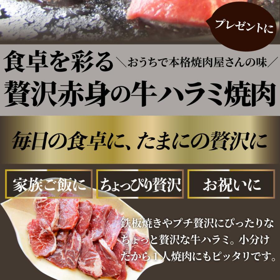 牛肉 肉 ハラミ 焼肉 1.5kg 250g×6P メガ盛り 赤身 はらみ バーベキュー 美味しい お歳暮 ギフト 食品 プレゼント お祝い