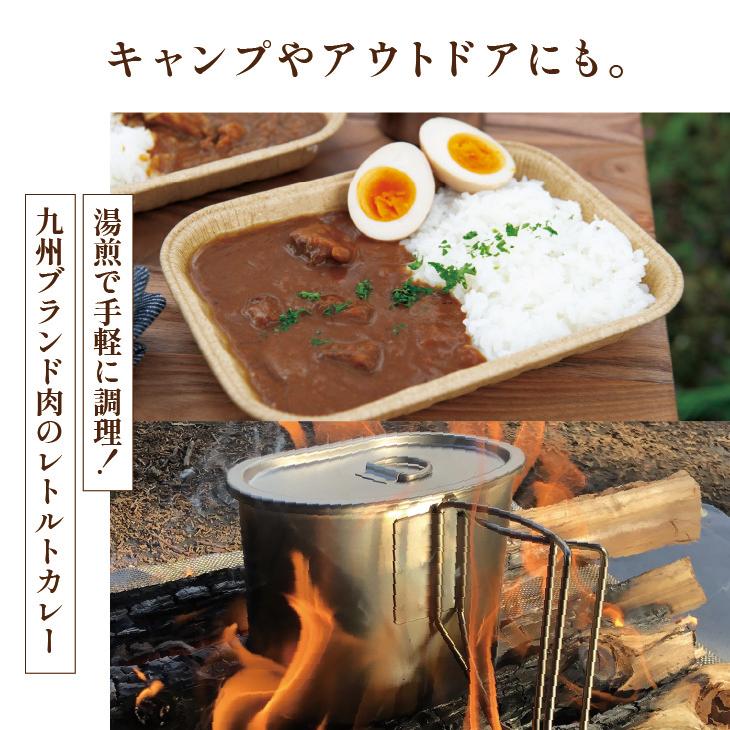 産地直送九州お取り寄せ　九州産　 　ご当地カレー　ビーフカレー　レトルト　　送料無料