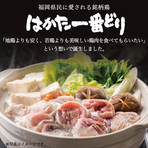 はかた一番どり 水炊き セット(2～3人前) 鶏しゃぶ セット(3～4人前)  [a0469] 株式会社 ゼロプラス ※配送不可：離島添田町 ふるさと納税