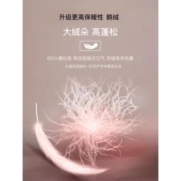 貓人女士德絨發熱保暖背心加厚無痕內穿秋衣蠶絲打底上衣冬季新款