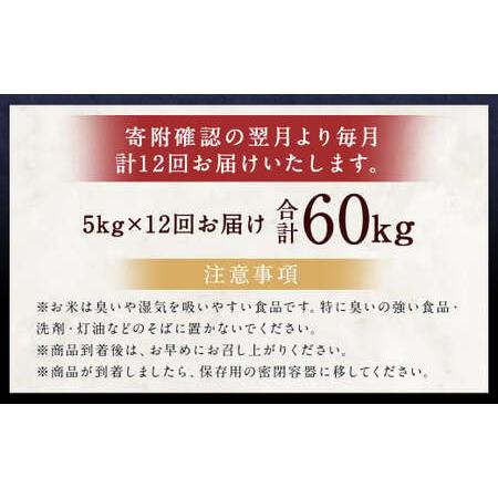 ふるさと納税 らんこし米 (ゆめぴりか 5kg) 北海道蘭越町