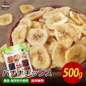 バナナチップス 500g ココナッツオイル使用 フィリピン産地直輸入 食塩不使用 保存料不使用 ドライバナナ ドライフルーツ グラノーラ パ