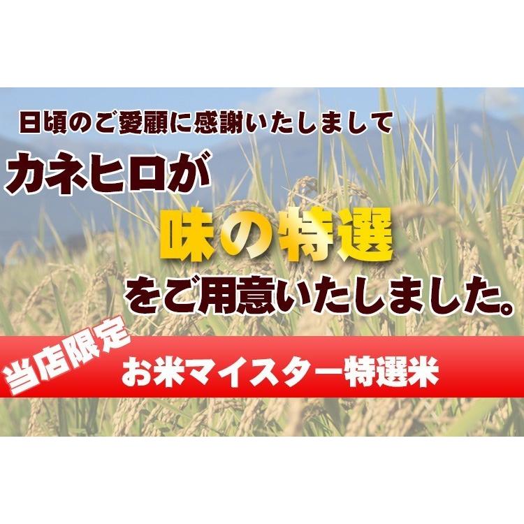 5年産  埼玉でとれたお米10kg( 5kg×2袋)白米 送料無料 埼玉県産