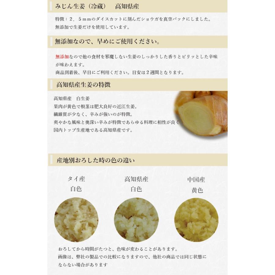 冷蔵 みじん切り生姜 1kg×10 高知県産 一次加工品