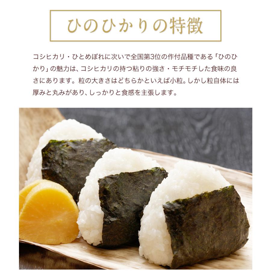 令和4年産 ひのひかり 10kg (5kg ×2袋)  米10kg 米 10kg お米 送料無料 熊本県産  精米 白米《1-5営業日以内に発送予定(土日祝日除く)》