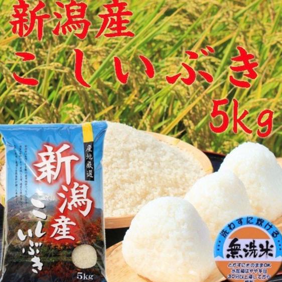 米・穀物 米 精米 新米つきあかり＆こしいぶき　無洗米　10キロ　令和5年産 産地直送