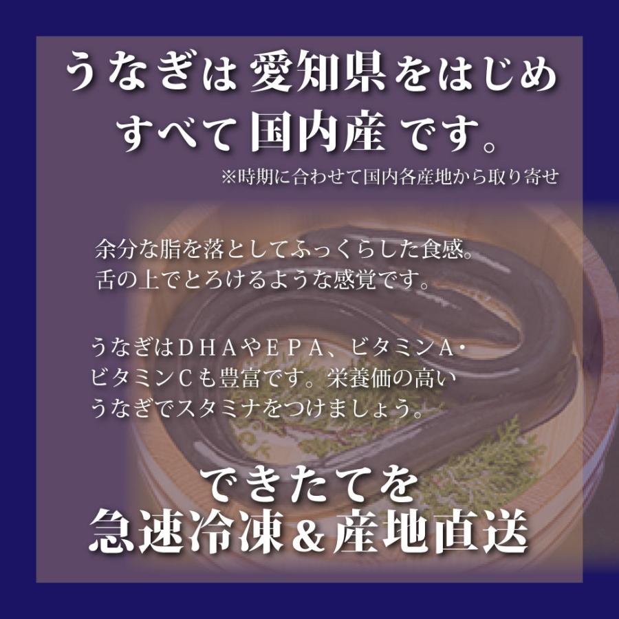 お歳暮 ギフト 2023 御歳暮 誕生日 プレゼント 魚 うなぎ 割烹一愼 おこわ風うなぎ飯 10個 セット 男性 女性 海鮮 一慎