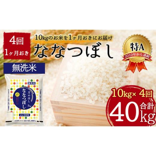 ふるさと納税 北海道 月形町 北海道 定期便 隔月4回 令和5年産 ななつぼし 無洗米 5kg×2袋 特A 米 白米 ご飯 お米 ごはん 国産 ブランド米 時短 便利 常温 お…