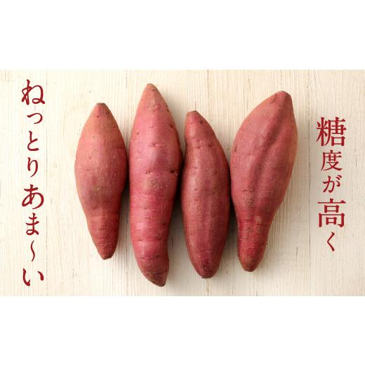 ふるさと納税 大分県 豊後大野市 098-929  紅はるか 5kg B品 甘藷 べにはるか さつまいも サツマイ…