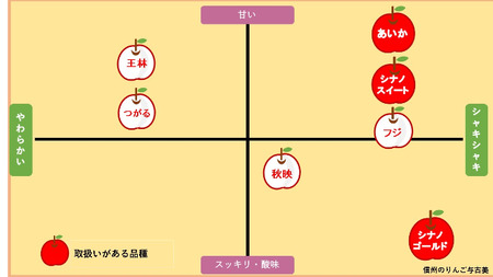 さんふじ 約5kg りんご リンゴ 林檎 長野 フルーツ 果物 信州産 長野県産 特産 産地直送 家庭用 おすすめ