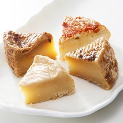 北海道 お取り寄せ カマンベールチーズ 100g×4種 味噌 熟成 送料無料 ポイント消化