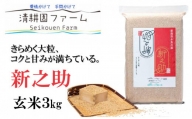 令和5年産新米 新之助3kg 清耕園ファーム 農家直送 新潟の新しいブランド米