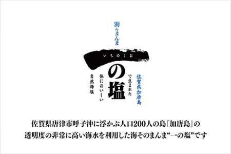 唐津 一の塩 1kg×2袋 (しっとりタイプ) 調味料 料理 しお ソルト