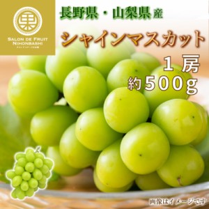 [最短順次発送]  スポット入荷 シャインマスカット 1房 約500g 山梨県 マスカット  果実箱 夏ギフト 暑中見舞い 夏ギフト お中元 御中元