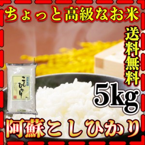 お米 米 5kg 白米 送料無料 熊本 阿蘇産 こしひかり あす着 新米 令和5年産 コシヒカリ 5kg1個 くまもとのお米 富田商店 とみた商店