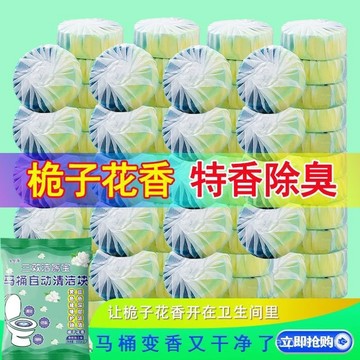 ⚡桃園有貨⚡梔子花香潔厠寶除垢飄香厠所衛生間除臭馬桶清潔劑泡泡厠靈濃香型 85SA