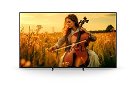 BRAVIA 5 65 型
