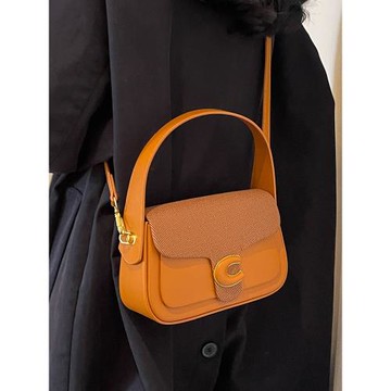 韓版小眾時尚手拎包包女2025新款秋冬簡約休閑馬鞍包高級感斜挎包