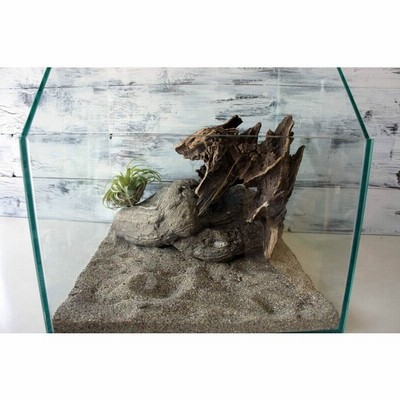 流木 爬虫類 登り木 あく抜き処理済 飼育 ケージ レイアウト テラリウム トカゲ ヤモリ ディスプレイ 水槽 ペット 295 通販 Lineポイント最大get Lineショッピング