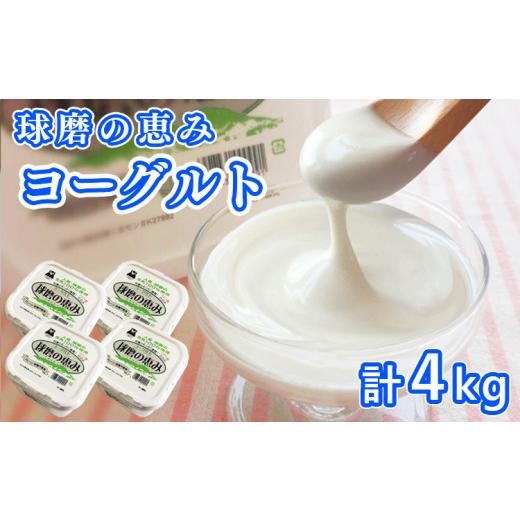 ふるさと納税 熊本県 あさぎり町 とろ〜り食感!!球磨の恵みヨーグルト 砂糖不使用タイプ 1kg×4パック