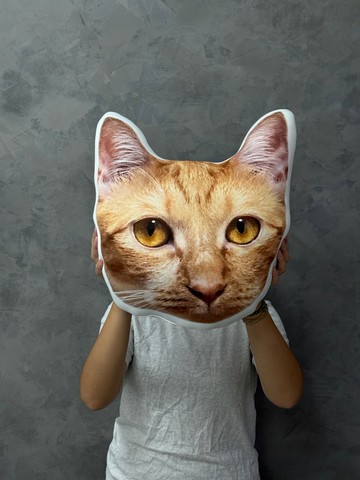 BLR 客製化 寵物抱枕 3天出貨 快速訂製