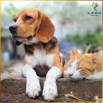 【永諾承信】圓融關懷計畫(MO25)