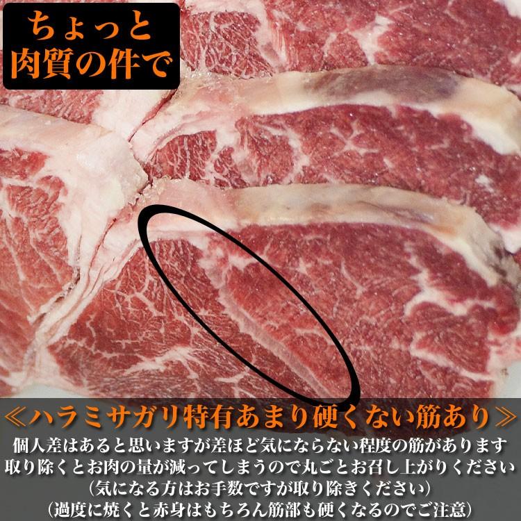 600g タレ込み 牛ハラミ サガリ 厚切り 味付き 2個以上から注文数に応じオマケ付き 焼肉 BBQ バーベキュー 野菜炒め 弁当