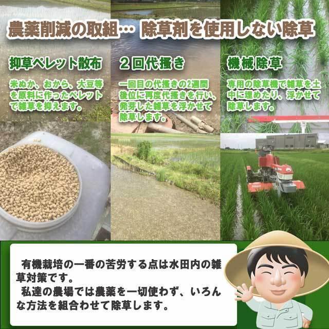 お米　コシヒカリ　5kg　令和5年　新潟産　有機栽培　玄米　無農薬　無化学肥料