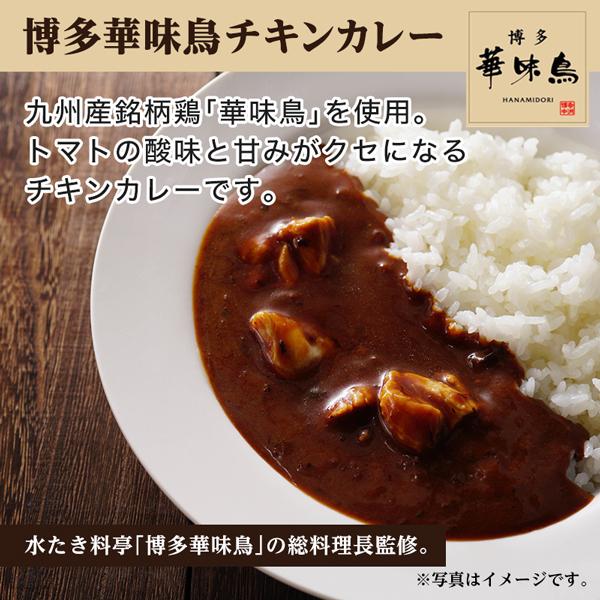 グルメ まとめ買い 当店チョイス 厳選カレー 計25食 バラエティセット ご当地 レトルトカレー 食品 送料無料 得トクセール オープン記念 お取り寄せ q1