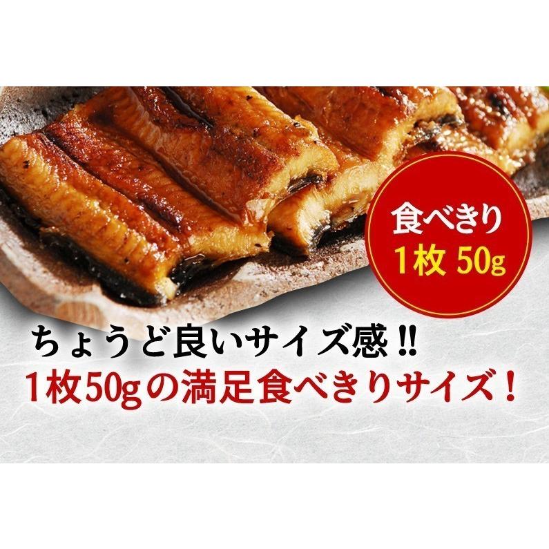 父の日 プレゼント ギフト うなぎ  食べ物 国産 鹿児島産 ブランド鰻 特大・カット・きざみ蒲焼き 3種セット 送料無料 60代 クール